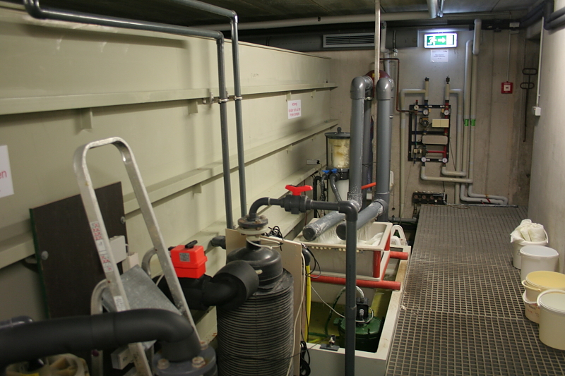 Killikus® Fotographie Killikus® Fotographie